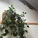 Salette Apartman *